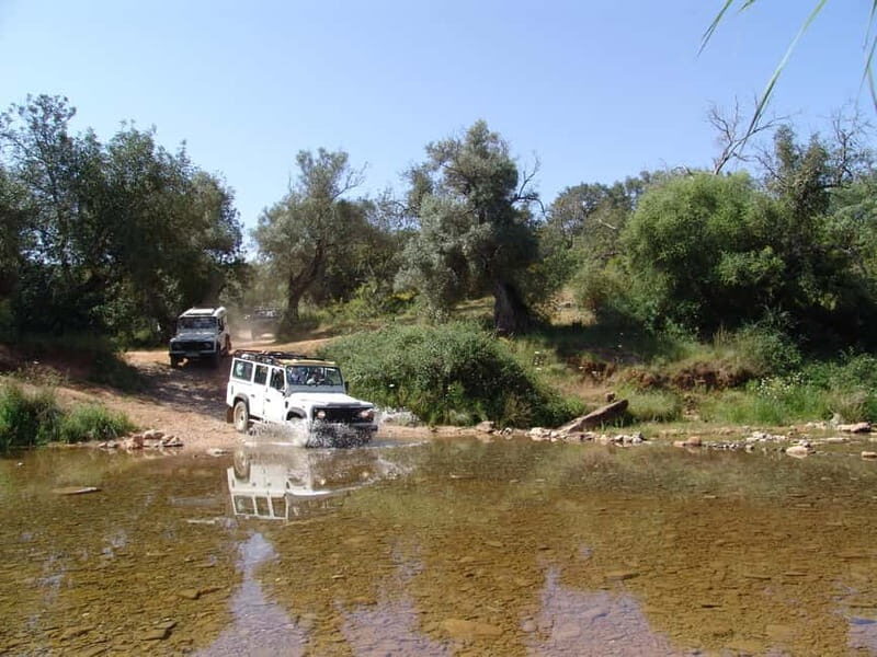 Albufeira: 6 Hour Jeep Tour with Lunch - Key Points