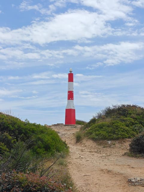 albufeira-albufeira-marina-west-coast-tour-1-5h