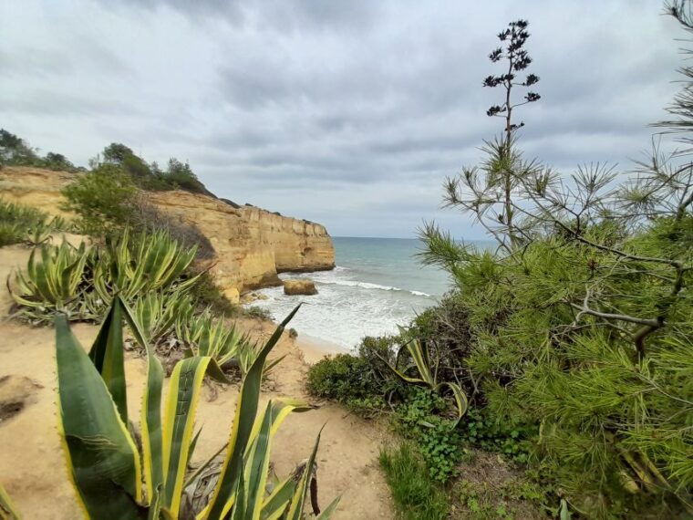 albufeira-algarve-cliffs-and-the-chapel-of-bones-tour