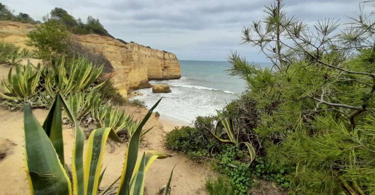 albufeira-algarve-cliffs-and-the-chapel-of-bones-tour