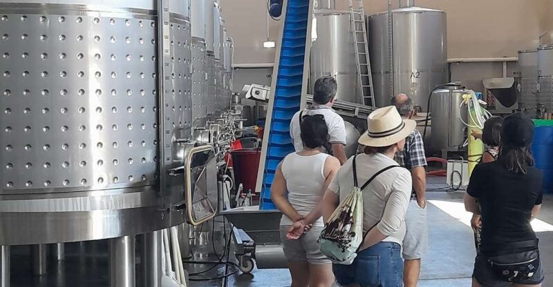 albufeira-algarve-coast-guided-tour-with-wine-tasting