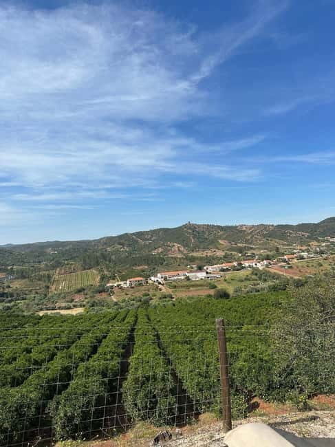 Albufeira: Alte, Paderne, and Messines Jeep Safari Tour - An Overview of the Algarve Adventure