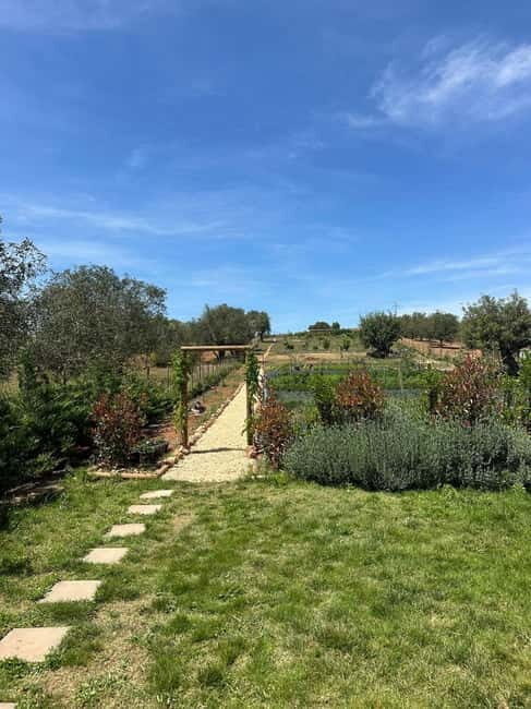 Albufeira: Alte, Paderne, and Messines Jeep Safari Tour - Practical Aspects