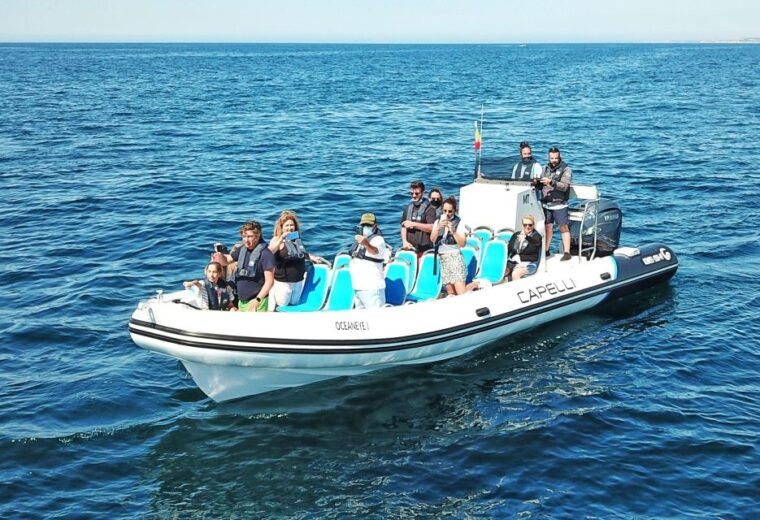 albufeira-benagil-cave-and-dolphin-sightseeing-boat-cruise