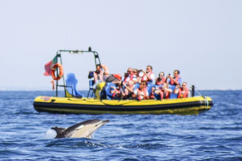 albufeira-benagil-caves-dolphin-watching-speed-boat-tour