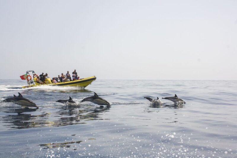 albufeira-benagil-caves-dolphin-watching-speed-boat-tour