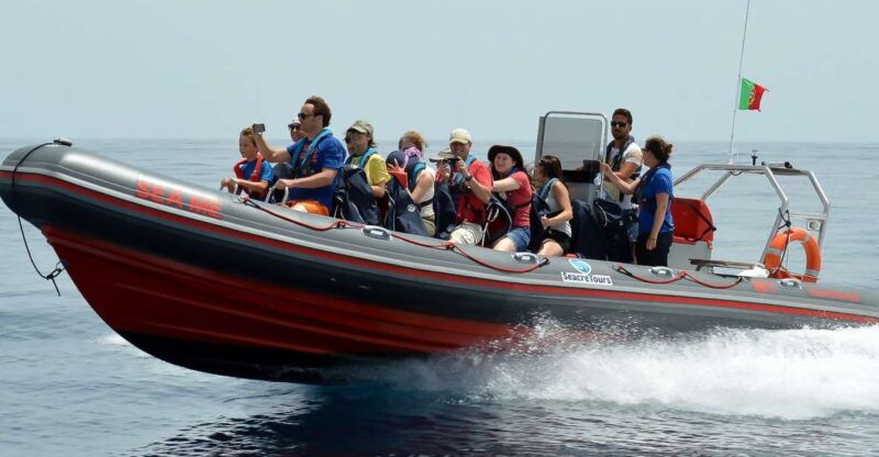 albufeira-dolphin-watching-and-benagil-cave-boat-cruise