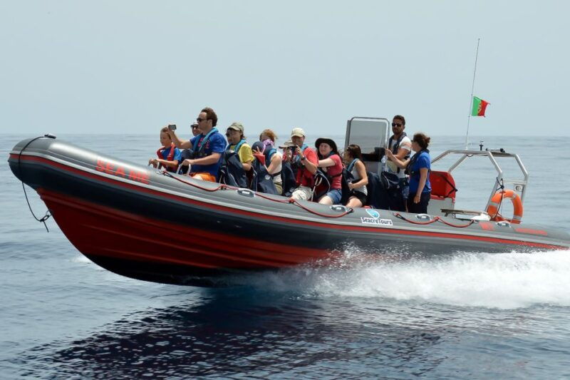 albufeira-dolphin-watching-and-benagil-cave-boat-cruise