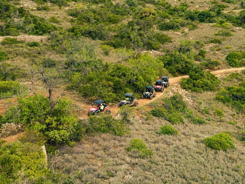 Albufeira: Full-Day Buggy Driving Tour with Lunch Included - Who Will Love This Tour?