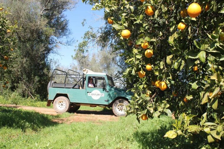 albufeira-half-day-jeep-safari-with-zoo
