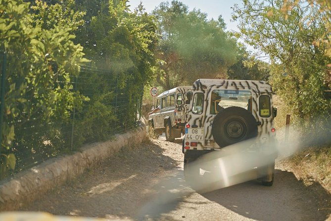 albufeira-jeep-safari-full-day-private-tour