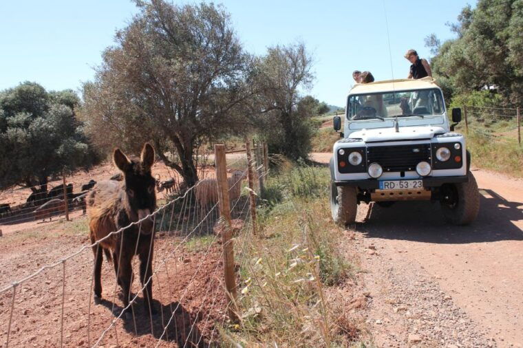 albufeira-jeep-safari-half-day-countryside-tour