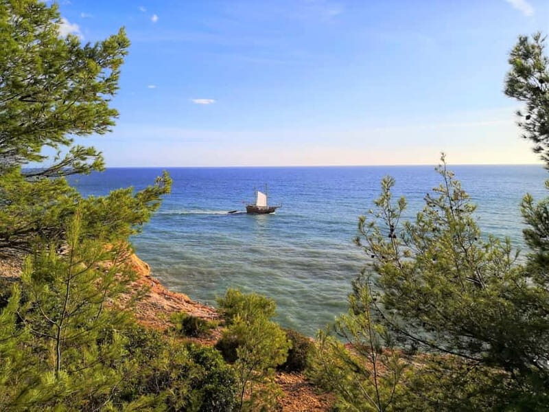 Albufeira, Olhão, Faro : Seven Hanging Valleys Guided Hiking - Discovering the Algarve’s Natural Beauty