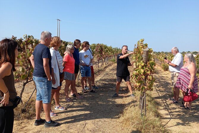 albufeira-or-vilamoura-winery-wine-and-tapas-boards