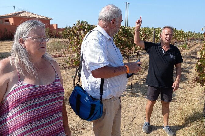 albufeira-or-vilamoura-winery-wine-and-tapas-boards