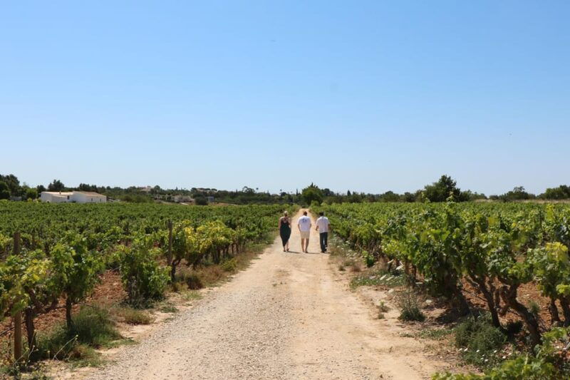 albufeira-porches-vilamoura-wine-tasting-with-tapas-music
