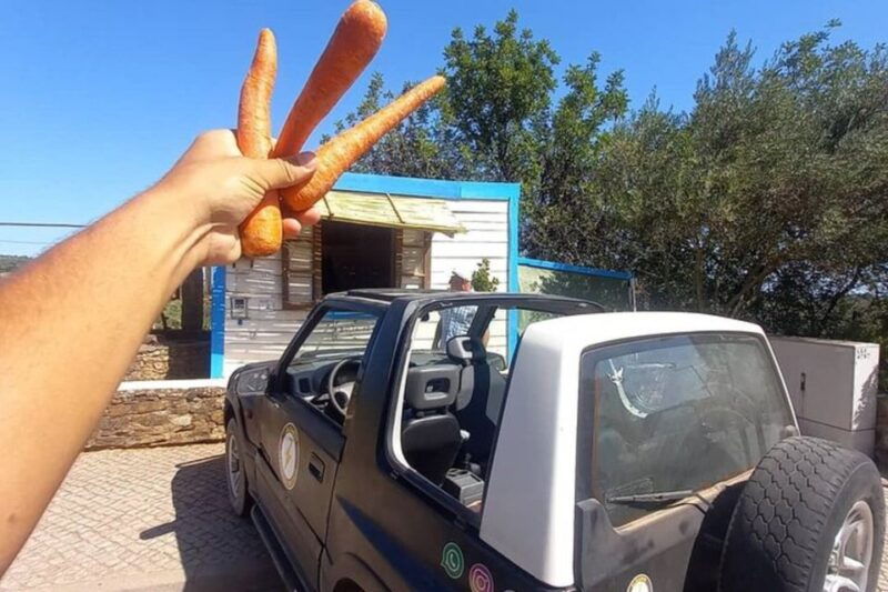 albufeira-safari-exploring-villages-churches-castle-farm