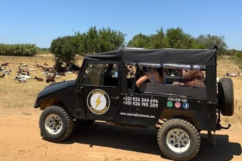 Albufeira Safari with entrance in Krazy World & Bone Chapel - Practical Details and Tips