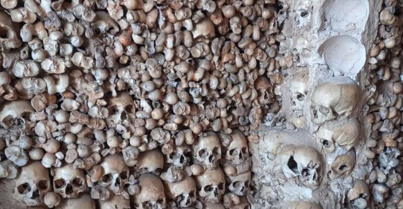 albufeira-safari-with-entrance-in-krazy-world-bone-chapel