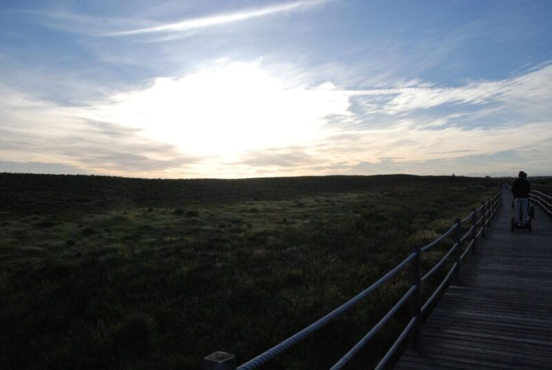 albufeira-salgados-nature-reserve-segway-tour