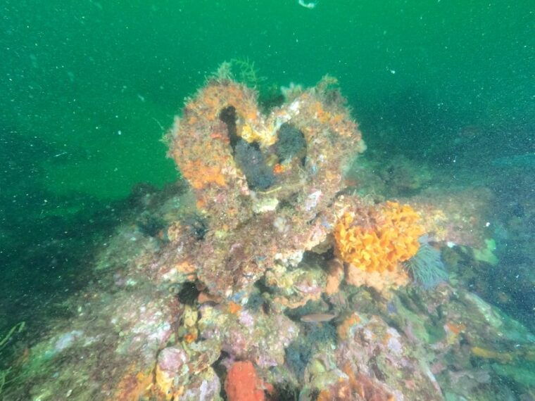 albufeira-scuba-diving-experience-for-beginners