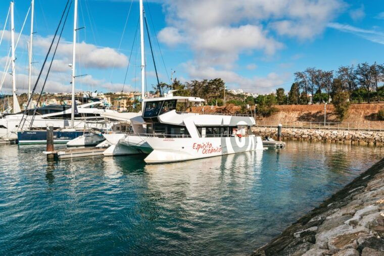 albufeira-sightseeing-cruise-with-beach-bbq-and-open-bar