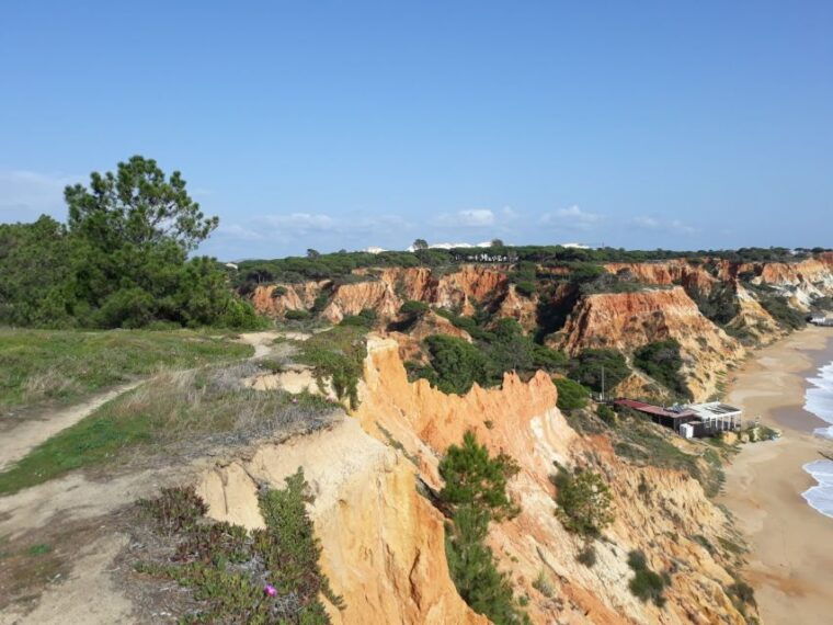 albufeira-tuk-tuk-sightseeing-tour