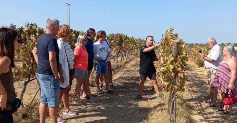 albufeira-vilamoura-winery-tour-with-wine-tasting-and-tapas