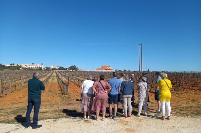albufeira-vilamoura-winery-tour-with-wine-tasting-and-tapas