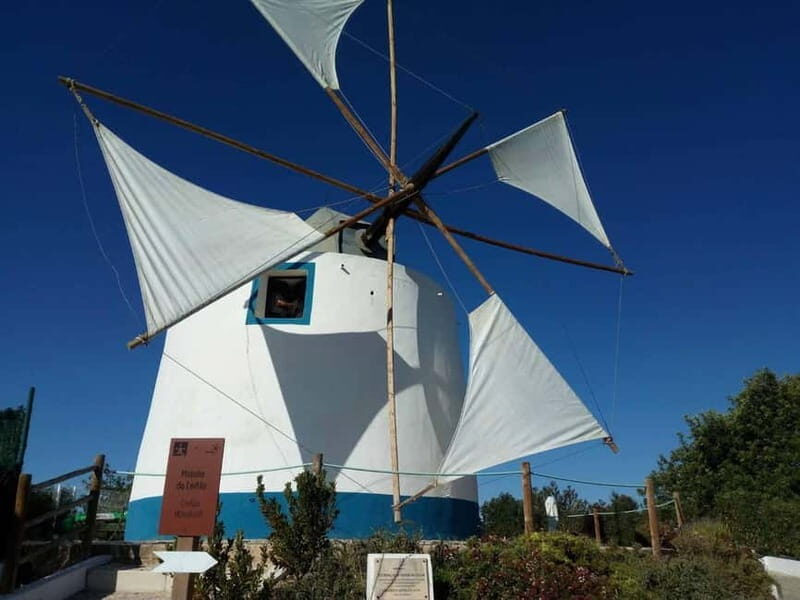 Albufeira: Wine Tasting Tour with Castle and Windmill Visit - Discovering Algarve’s Wine and Heritage