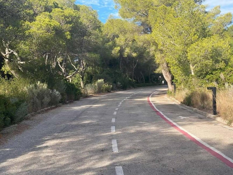 Albufera Bike Adventure: Wetlands, Beaches & Biodiversity - A Complete Look at the Albufera Bike Adventure
