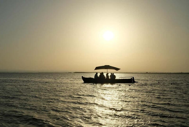Albufera Bike Adventure: Wetlands, Beaches & Biodiversity - FAQ