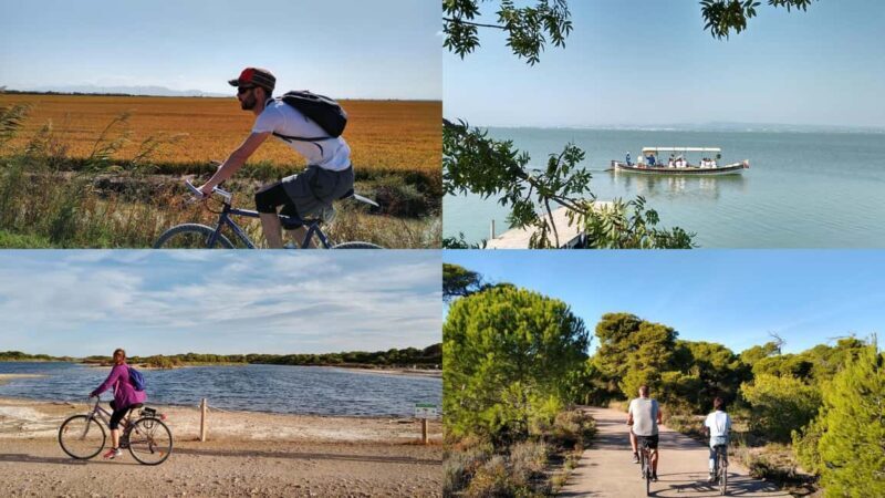 Albufera Complete Bike Tour-Rice Fields, Lake, Boat & Paella - Final Thoughts  