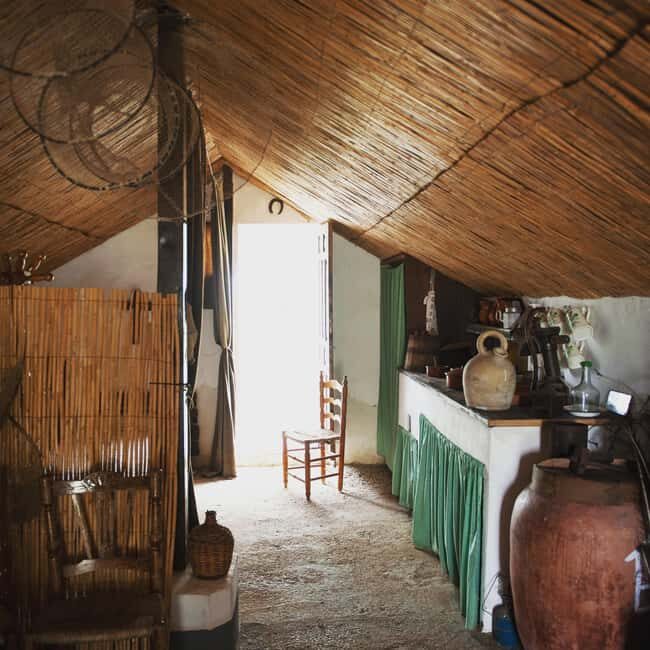 Albufera de Valencia: boat ride and visit to a barraca - Who Should Consider This Tour?