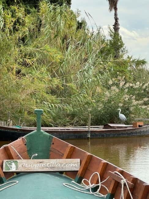 Albufera de Valencia: Guided boat ride through the Albufera - An In-Depth Look at the Albufera Guided Boat Ride
