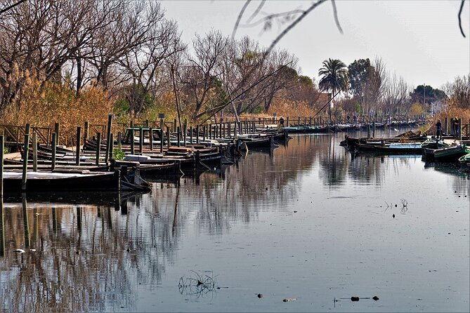 albufera-lake-paella-and-birdwatching-2