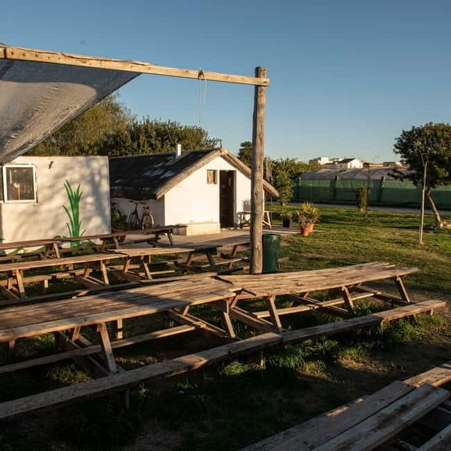 Albufera: Sunset and visit to the barrack - Key Points