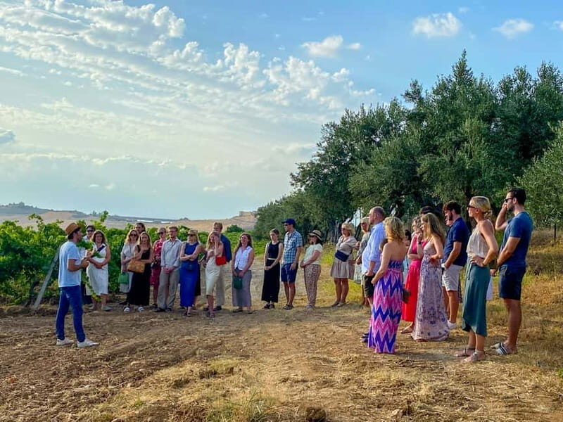 Alcamo: Natural Wine & Olive Oil Tasting - Sicily - Who Would Love This Experience?