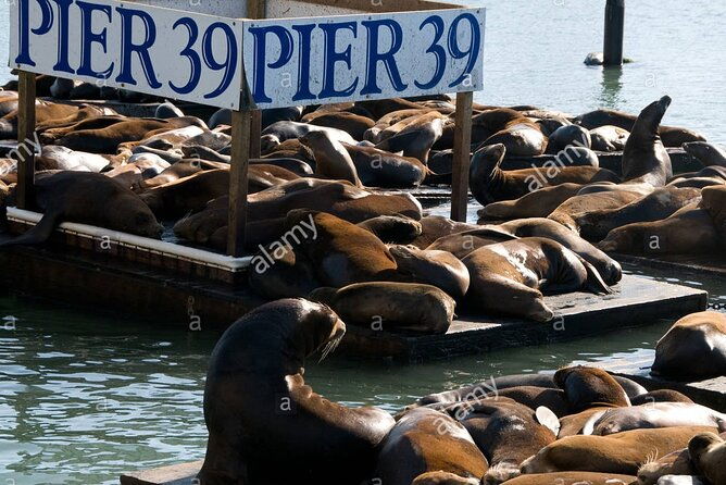 alcatraz-and-city-tour-express