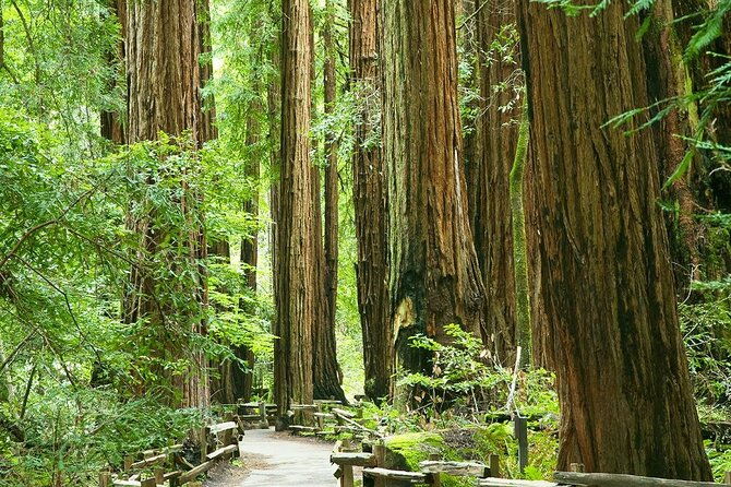 alcatraz-muir-woods-and-sausalito-express-with-brunch-credit