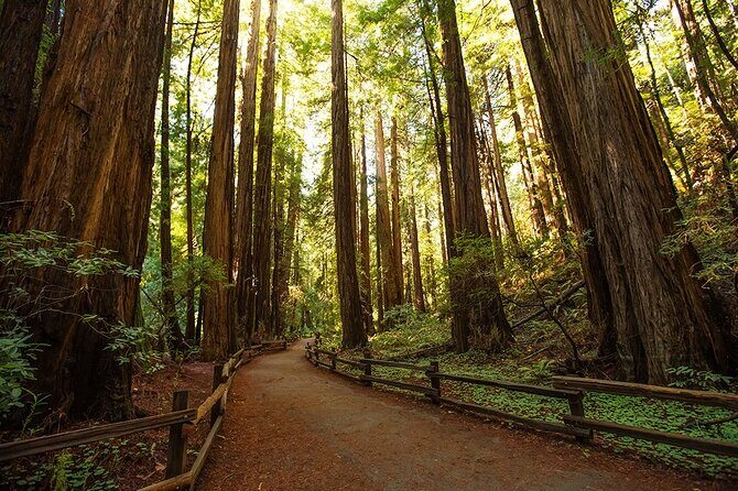 Alcatraz Muir Woods Express with Golden Gate Bridge Visit - Final Thoughts