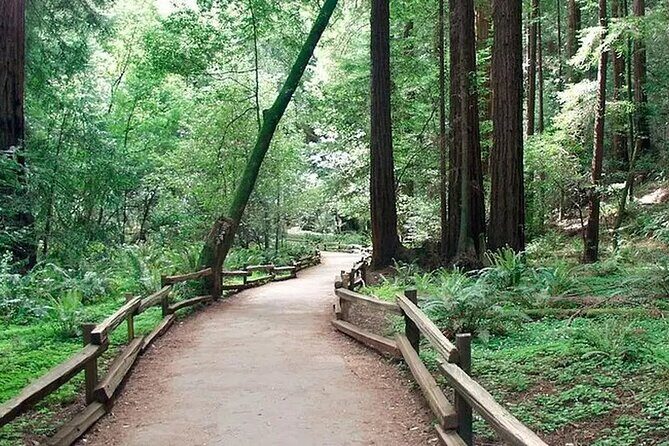 Alcatraz Muir Woods Express with Golden Gate Bridge Visit - Who Would Love This Tour?