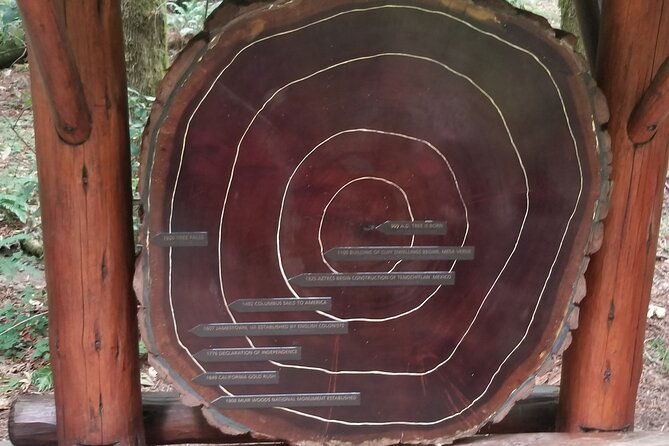 alcatraz-plus-muir-woods-sausalito-combo-tour