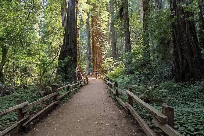 alcatraz-plus-muir-woods-sausalito-combo-tour