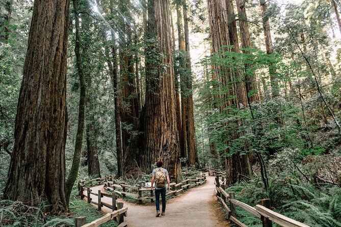alcatraz-ticket-san-francisco-muir-woods-and-sausalito-tour
