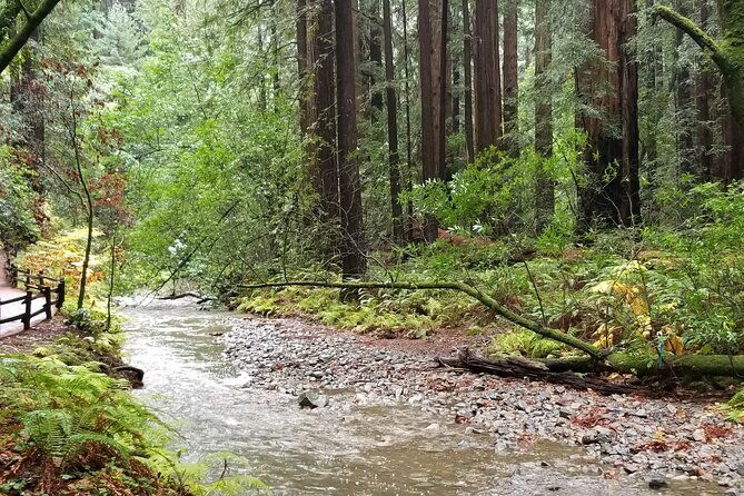 alcatraz-with-muir-woods-and-sausalito-tour-2