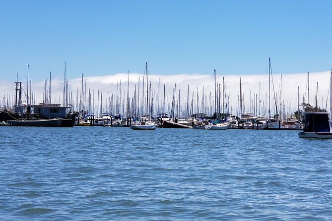 alcatraz-with-muir-woods-and-sausalito-tour-2