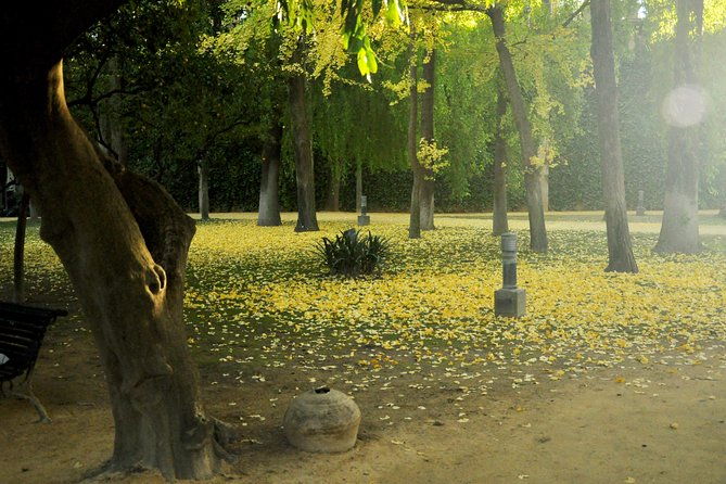 alcazar-and-cathedral-combo-tour