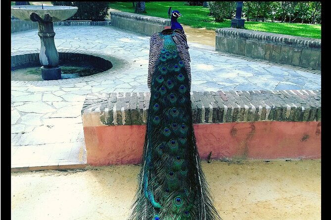 alcazar-and-cathedral-of-seville-private-tour