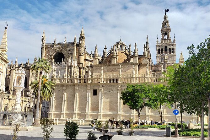 alcazar-and-cathedral-the-must-sees-private-tour